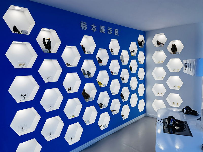 南京科之普教育科技有限公司
